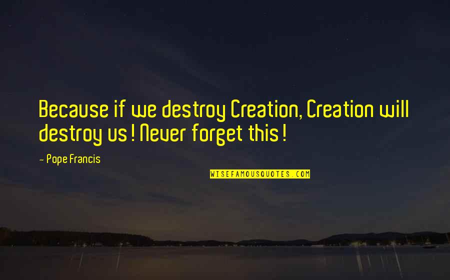 Having Found Love Quotes By Pope Francis: Because if we destroy Creation, Creation will destroy