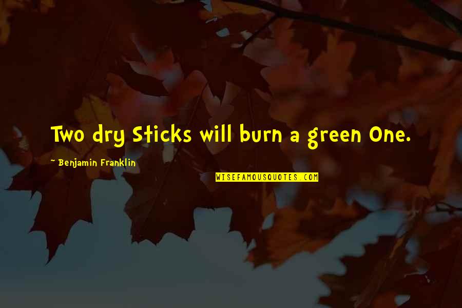 Having Fun While Working Quotes By Benjamin Franklin: Two dry Sticks will burn a green One. Having Fun While Working Quotes By Benjamin Franklin: Two dry Sticks will burn a green One.