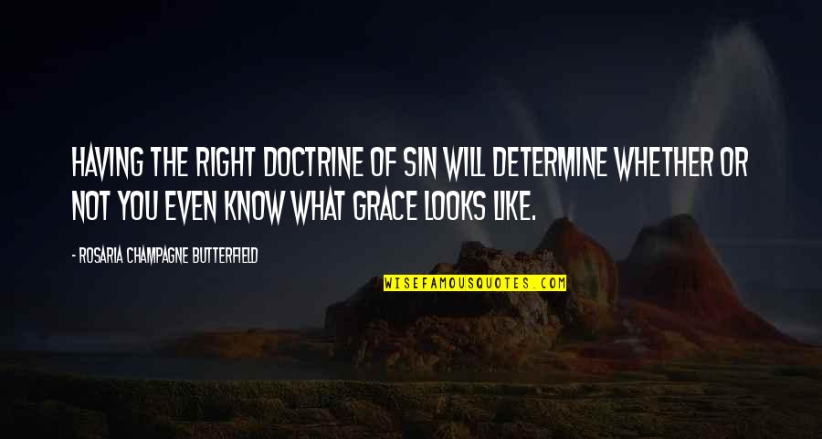 Having Grace Quotes By Rosaria Champagne Butterfield: Having the right doctrine of sin will determine Having Grace Quotes By Rosaria Champagne Butterfield: Having the right doctrine of sin will determine
