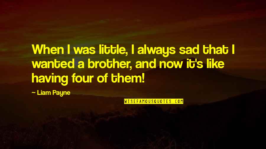 Having Little Brother Quotes By Liam Payne: When I was little, I always sad that