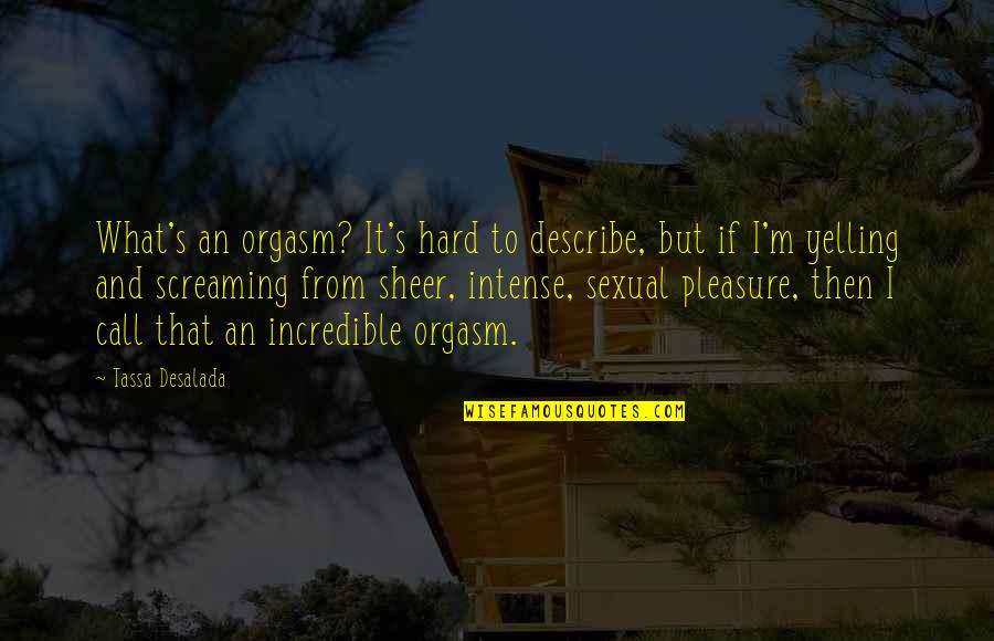 Having Little Time Quotes By Tassa Desalada: What's an orgasm? It's hard to describe, but