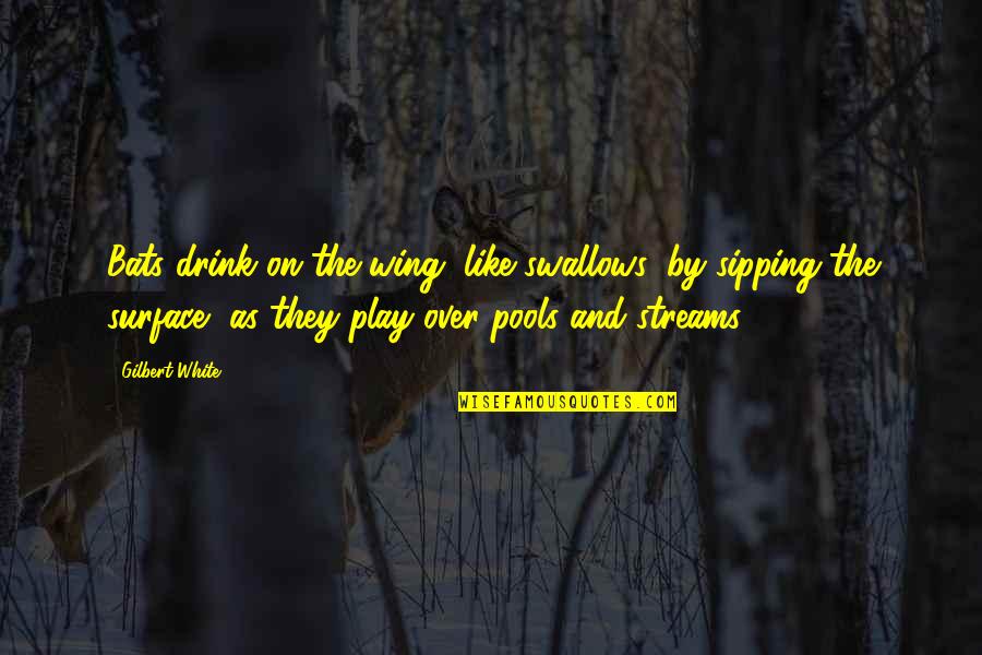 Having Morals And Standards Quotes By Gilbert White: Bats drink on the wing, like swallows, by