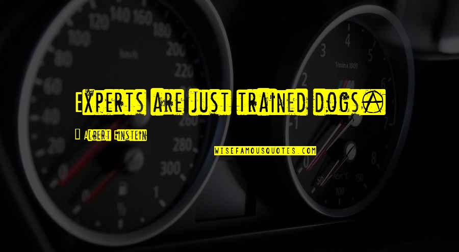 Having No Sister Quotes By Albert Einstein: Experts are just trained dogs. Having No Sister Quotes By Albert Einstein: Experts are just trained dogs.
