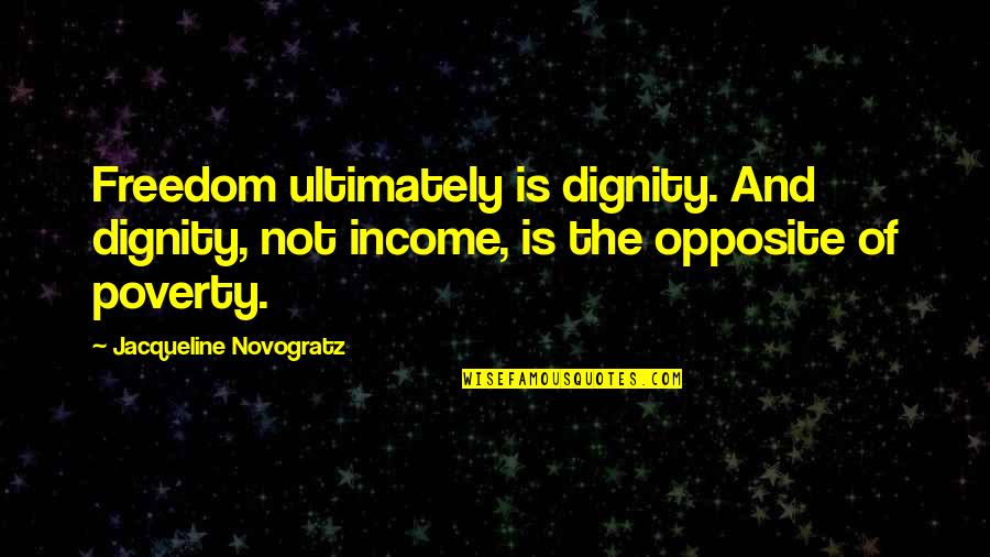 Having Nothing To Do Quotes By Jacqueline Novogratz: Freedom ultimately is dignity. And dignity, not income,