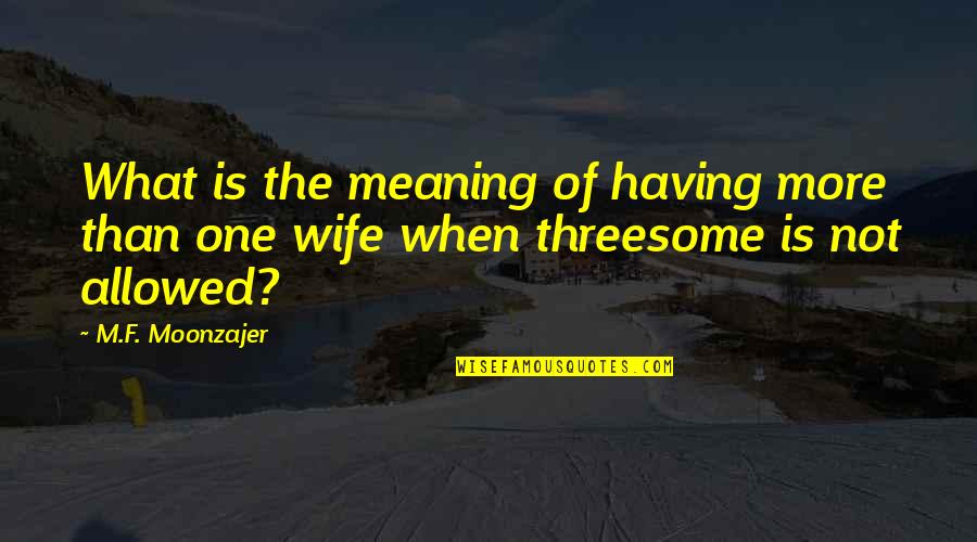 Having One Woman Quotes By M.F. Moonzajer: What is the meaning of having more than