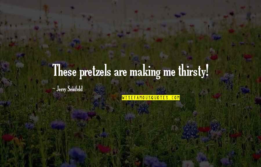Having Respect For Others Relationships Quotes By Jerry Seinfeld: These pretzels are making me thirsty!