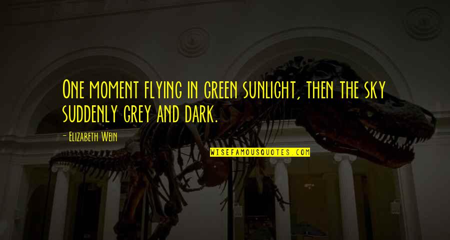 Having School Spirit Quotes By Elizabeth Wein: One moment flying in green sunlight, then the