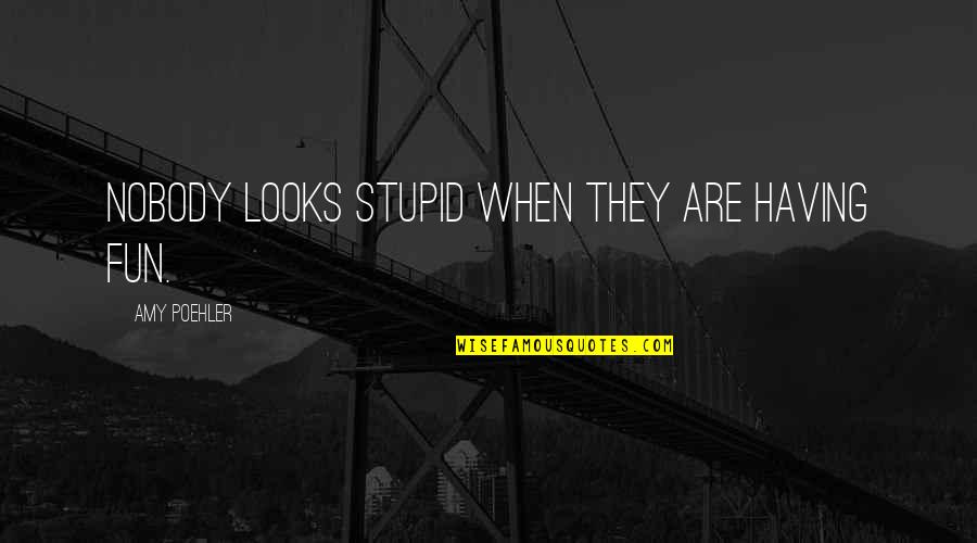 Having Some Fun Quotes By Amy Poehler: Nobody looks stupid when they are having fun.