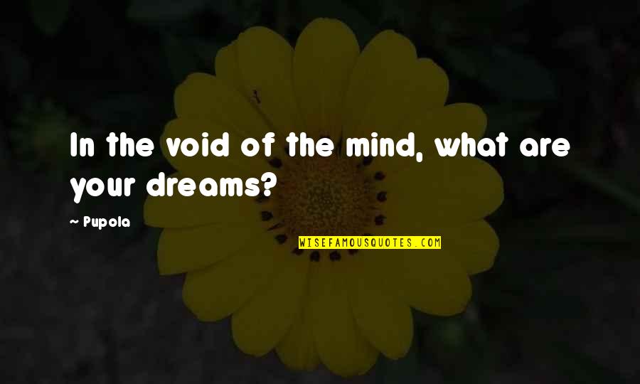 Having Someone Who Cares Quotes By Pupola: In the void of the mind, what are