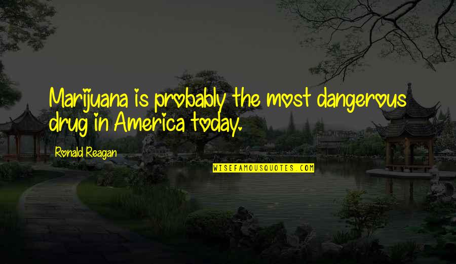 Having The Right Perspective Quotes By Ronald Reagan: Marijuana is probably the most dangerous drug in