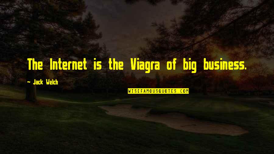 Having Things In Common With Someone Quotes By Jack Welch: The Internet is the Viagra of big business.