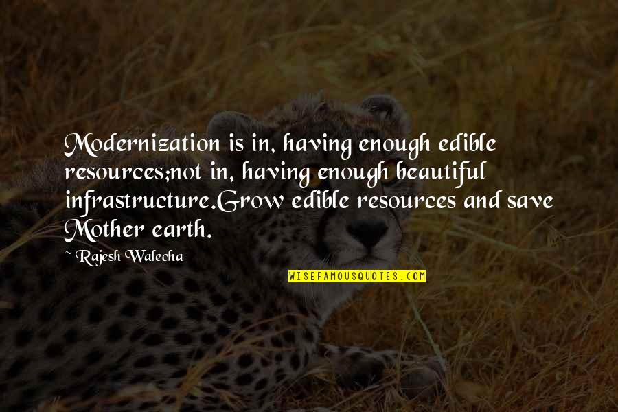 Having To Grow Up Quotes By Rajesh Walecha: Modernization is in, having enough edible resources;not in,
