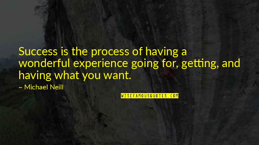 Having What You Want Quotes By Michael Neill: Success is the process of having a wonderful