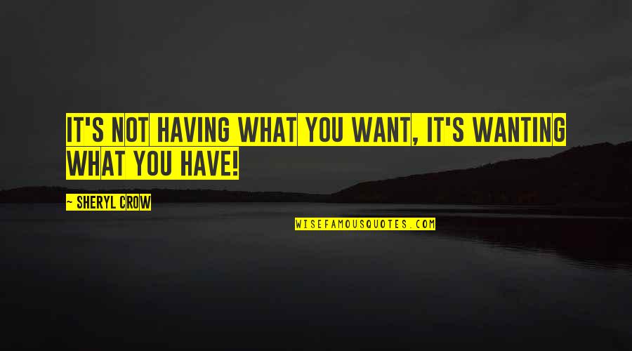 Having What You Want Quotes By Sheryl Crow: It's not having what you want, it's wanting