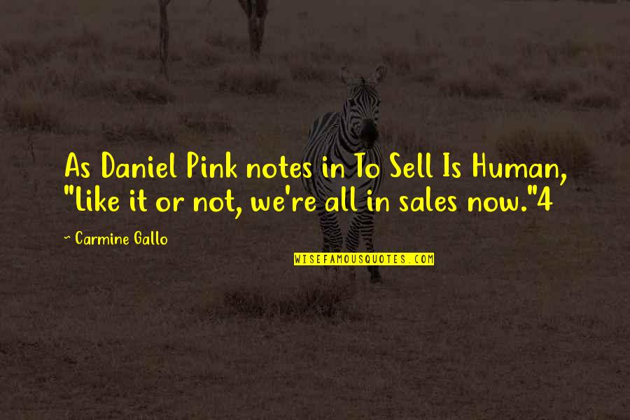 Havisham Quotes By Carmine Gallo: As Daniel Pink notes in To Sell Is
