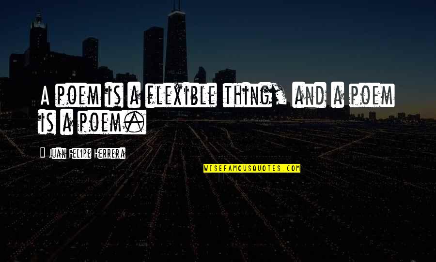 Havoc Mobb Deep Quotes By Juan Felipe Herrera: A poem is a flexible thing, and a