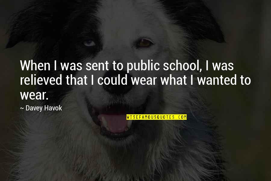 Havok Quotes By Davey Havok: When I was sent to public school, I