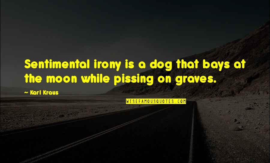 Hawk Moth Quotes By Karl Kraus: Sentimental irony is a dog that bays at