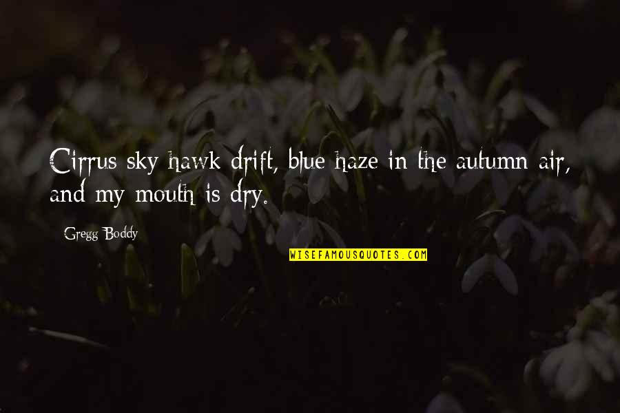 Hawk Quotes By Gregg Boddy: Cirrus sky hawk drift, blue haze in the