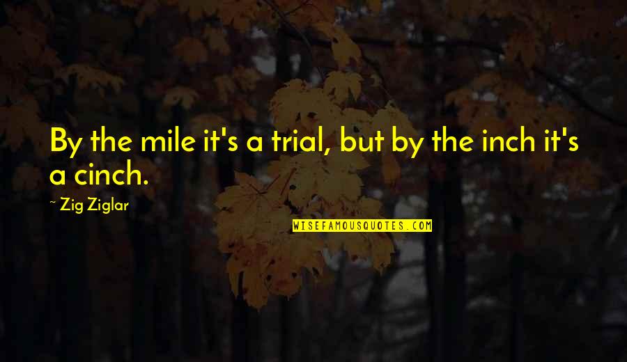 Hawked Quotes By Zig Ziglar: By the mile it's a trial, but by