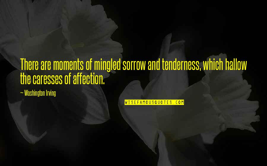 Hawkmoth Rap Quotes By Washington Irving: There are moments of mingled sorrow and tenderness,