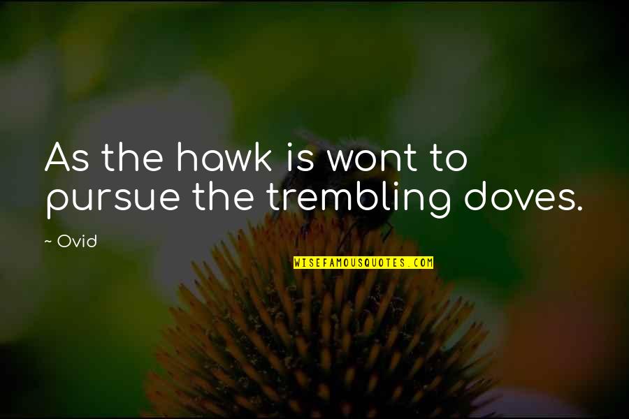 Hawks Quotes By Ovid: As the hawk is wont to pursue the