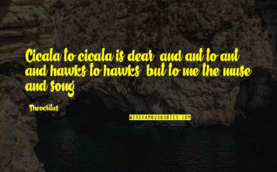 Hawks Quotes By Theocritus: Cicala to cicala is dear, and ant to