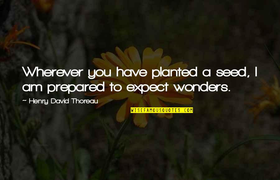 Hawthornes Cafe Quotes By Henry David Thoreau: Wherever you have planted a seed, I am Hawthornes Cafe Quotes By Henry David Thoreau: Wherever you have planted a seed, I am