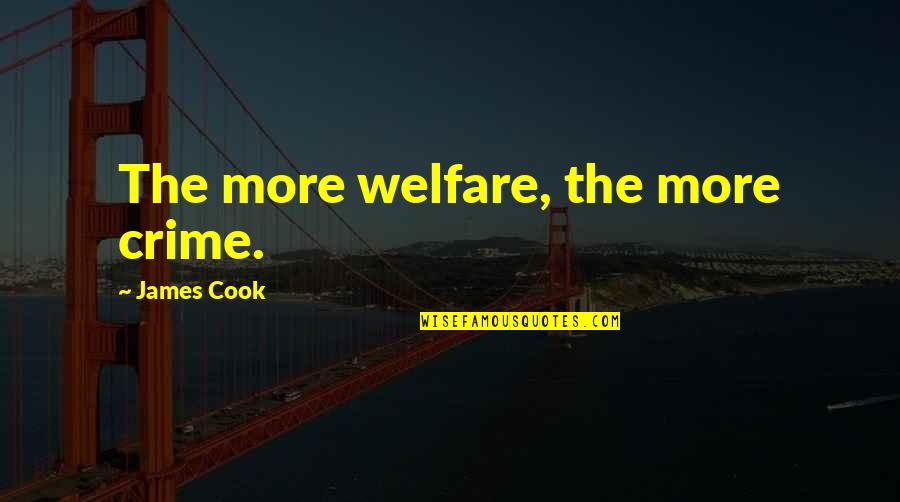 Hayakawa Quotes By James Cook: The more welfare, the more crime.