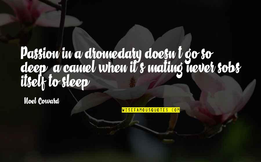 Hayasaka Pfp Quotes By Noel Coward: Passion in a dromedary doesn't go so deep;