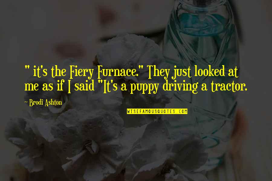 Hayashi Quotes By Brodi Ashton: " it's the Fiery Furnace." They just looked