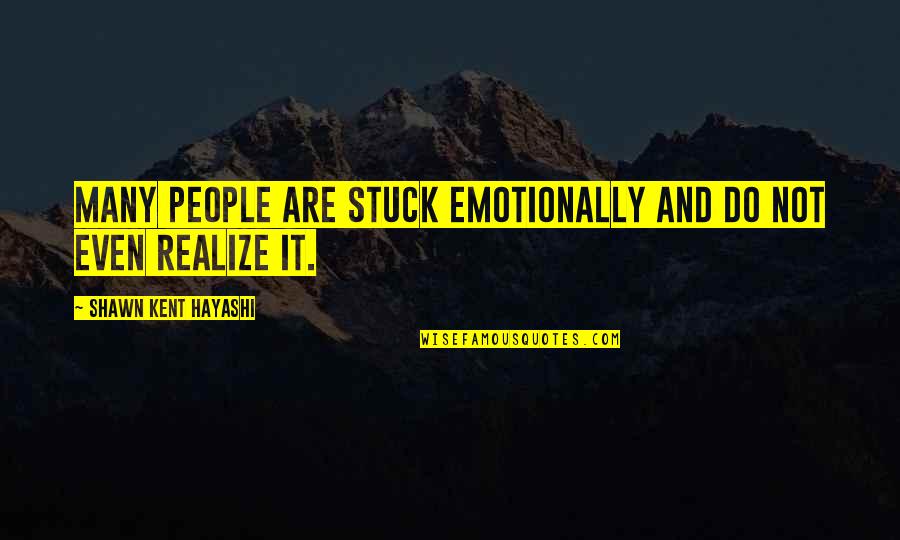 Hayashi Quotes By Shawn Kent Hayashi: Many people are stuck emotionally and do not
