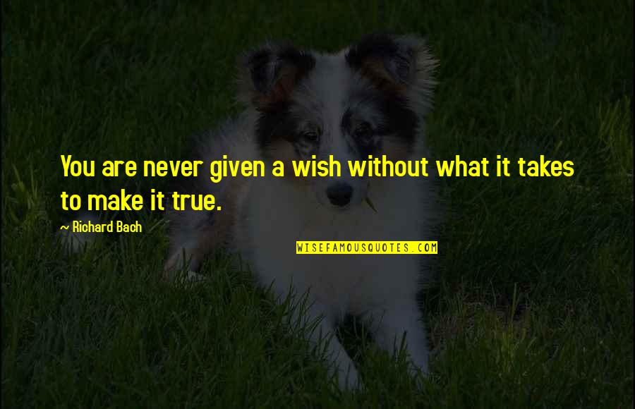 Hayate Quotes By Richard Bach: You are never given a wish without what