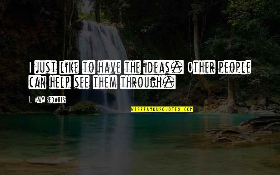 Haydar Baba Quotes By Amy Sedaris: I just like to have the ideas. Other