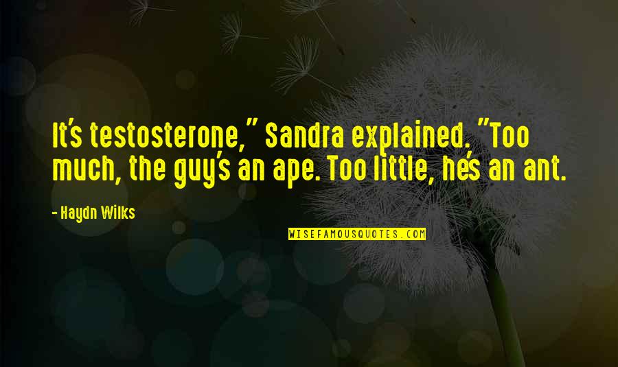Haydn's Quotes By Haydn Wilks: It's testosterone," Sandra explained. "Too much, the guy's Haydn's Quotes By Haydn Wilks: It's testosterone," Sandra explained. "Too much, the guy's