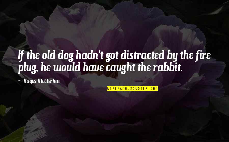 Hayes Quotes By Hayes McClerkin: If the old dog hadn't got distracted by