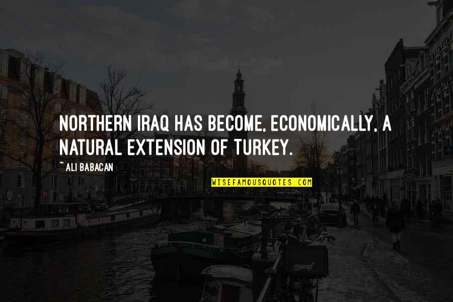Hayfork Quotes By Ali Babacan: Northern Iraq has become, economically, a natural extension