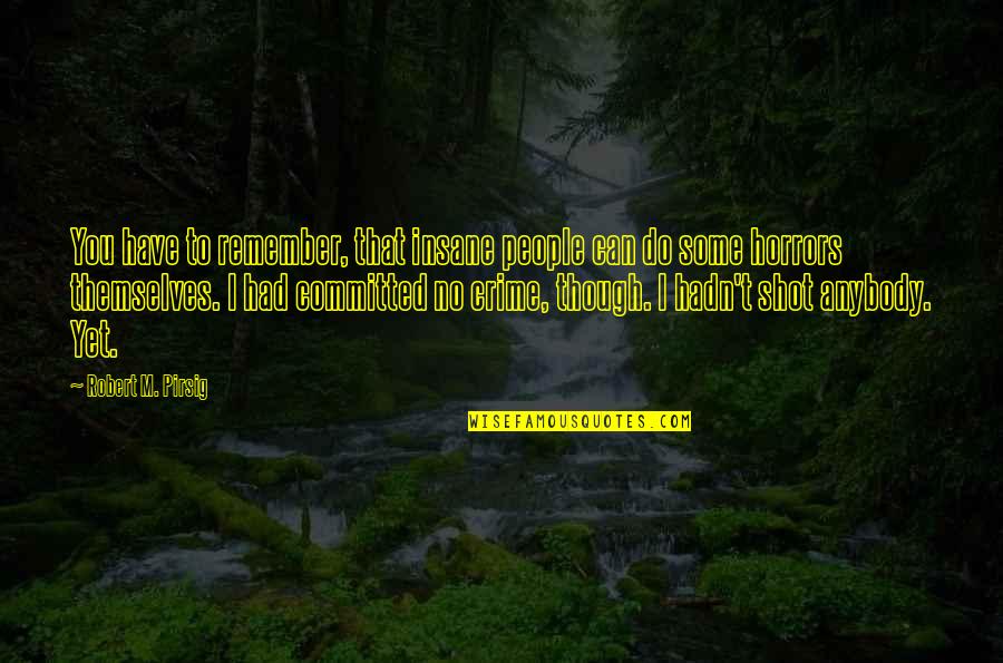 Hayles Quotes By Robert M. Pirsig: You have to remember, that insane people can Hayles Quotes By Robert M. Pirsig: You have to remember, that insane people can