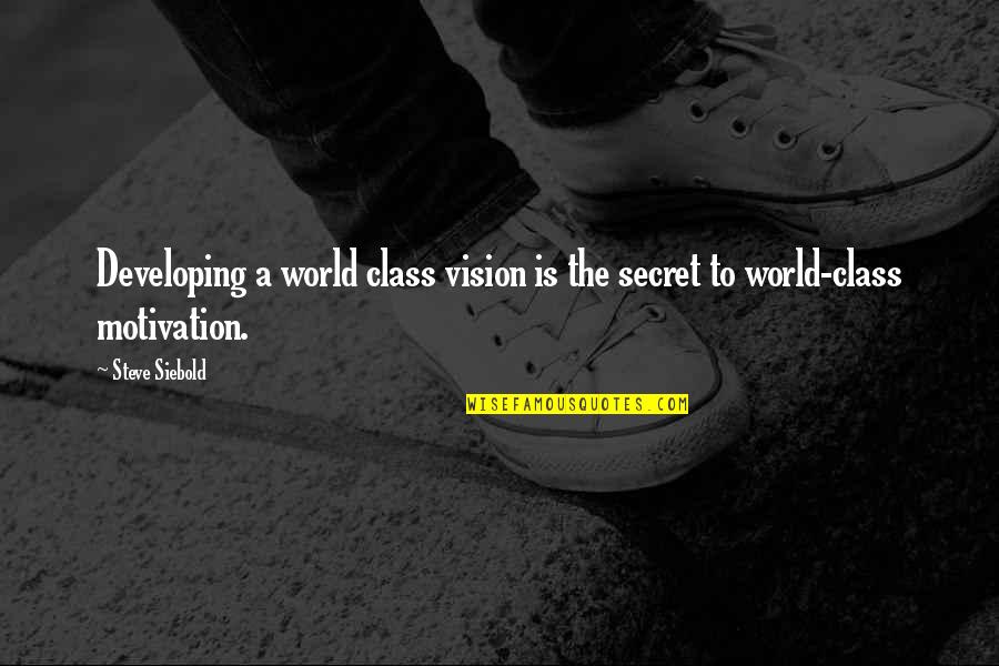 Haylock 2014 Quotes By Steve Siebold: Developing a world class vision is the secret