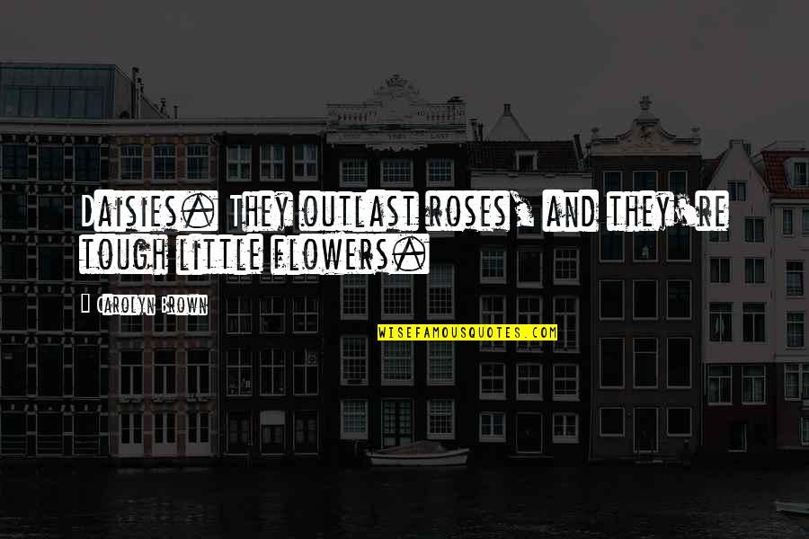 Haynze Whitmores Age Quotes By Carolyn Brown: Daisies. They outlast roses, and they're tough little Haynze Whitmores Age Quotes By Carolyn Brown: Daisies. They outlast roses, and they're tough little