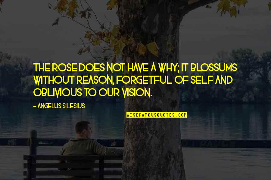 Haythem Dawlett Quotes By Angelus Silesius: The rose does not have a why; it