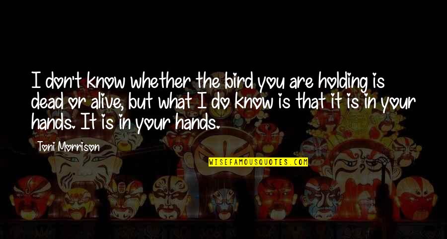 Hazarat Ali A.s Quotes By Toni Morrison: I don't know whether the bird you are