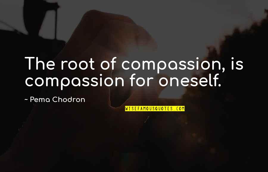 Hazards Of Technology Quotes By Pema Chodron: The root of compassion, is compassion for oneself.