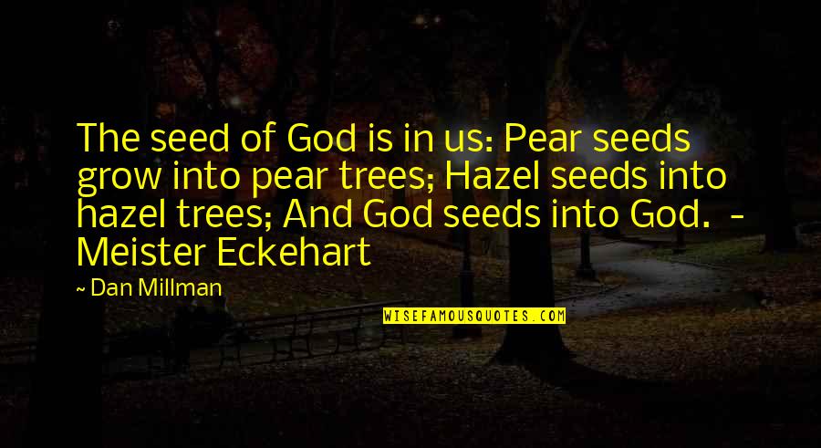 Hazel Quotes By Dan Millman: The seed of God is in us: Pear