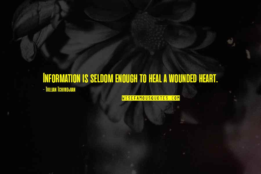 Hazelwood School District V. Kuhlmeier Quotes By Tullian Tchividjian: Information is seldom enough to heal a wounded