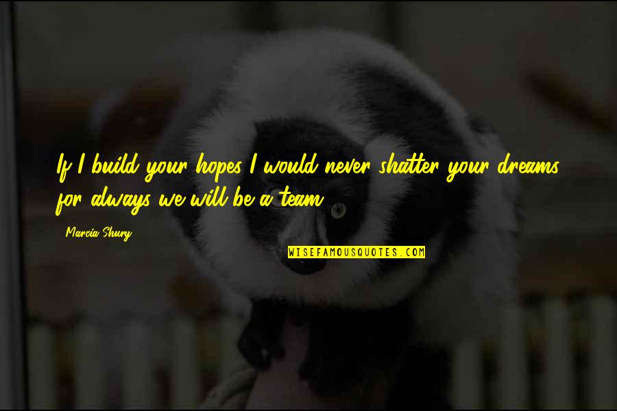 Hazla Tekst Quotes By Marcia Shury: If I build your hopes I would never Hazla Tekst Quotes By Marcia Shury: If I build your hopes I would never