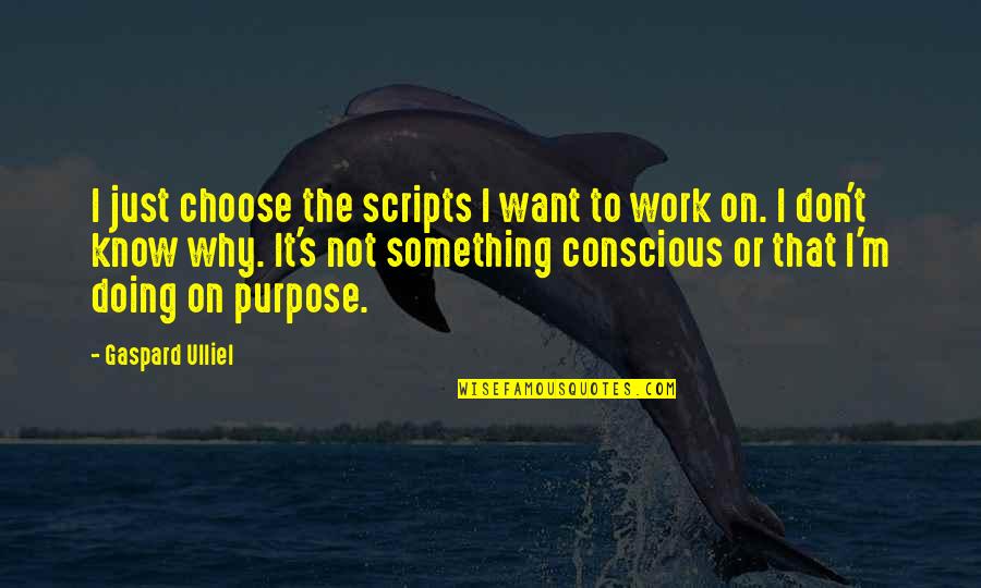 Hazouri Family Quotes By Gaspard Ulliel: I just choose the scripts I want to Hazouri Family Quotes By Gaspard Ulliel: I just choose the scripts I want to