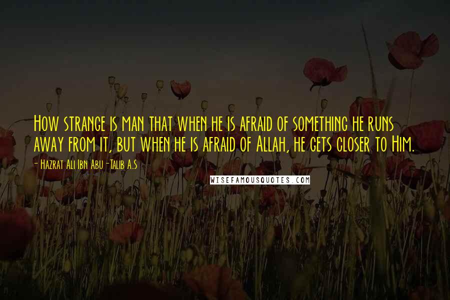 Hazrat Ali Ibn Abu-Talib A.S quotes: How strange is man that when he is afraid of something he runs away from it, but when he is afraid of Allah, he gets closer to Him.