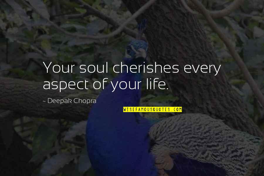 Hazrat Muhammad Saww Quotes By Deepak Chopra: Your soul cherishes every aspect of your life.