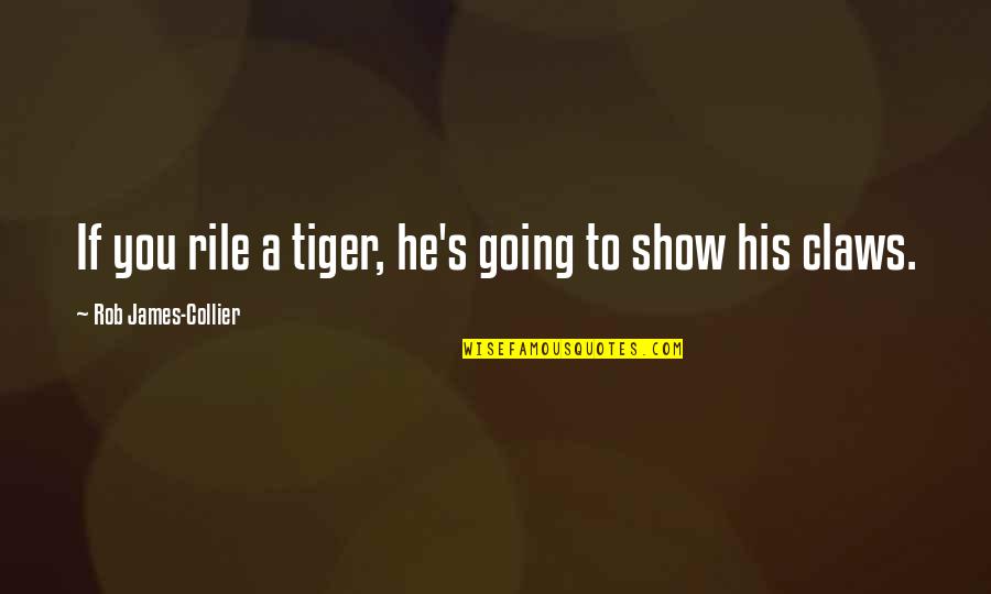 Hazrat Muhammad Saww Quotes By Rob James-Collier: If you rile a tiger, he's going to Hazrat Muhammad Saww Quotes By Rob James-Collier: If you rile a tiger, he's going to